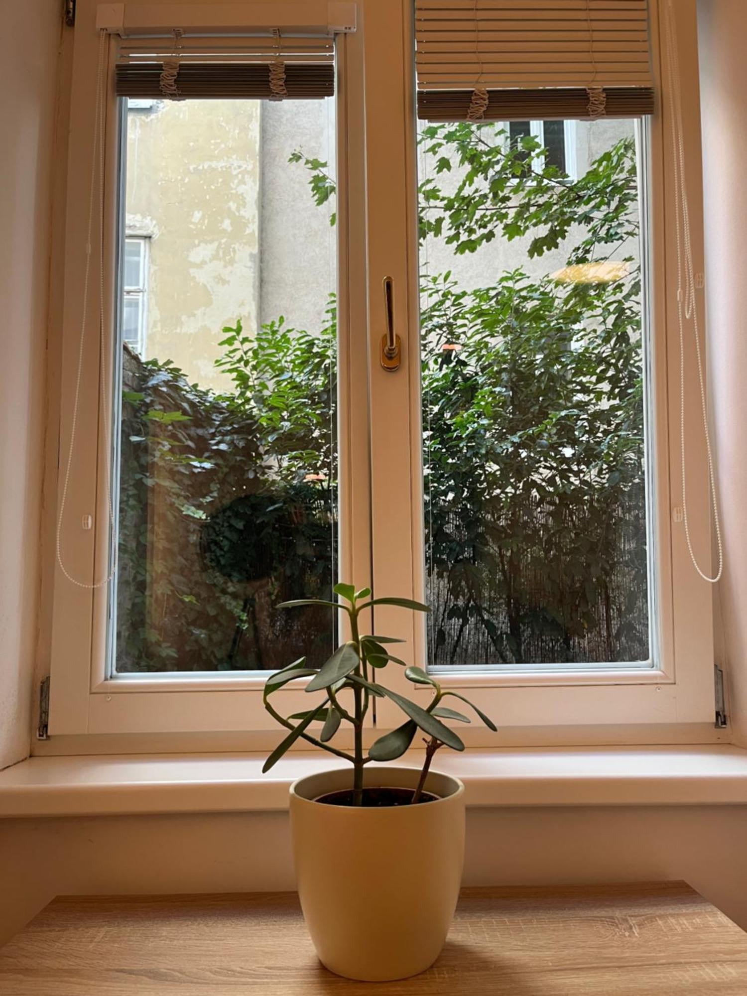 Quiet Apartment Next To Belvedere & Central Station Vienna Exterior photo